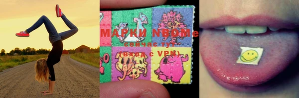 кокс Арсеньев