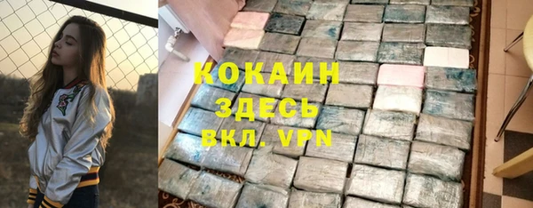 кокс Арсеньев