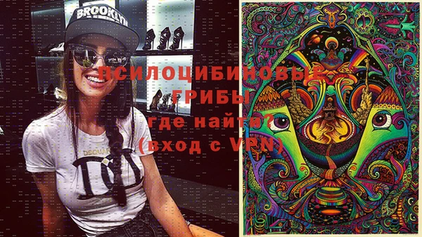 кокс Арсеньев