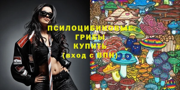 кокс Арсеньев