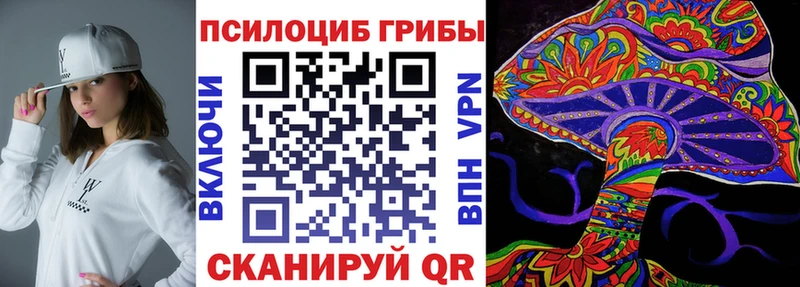 где купить наркоту  Лангепас  Псилоцибиновые грибы Psilocybe 